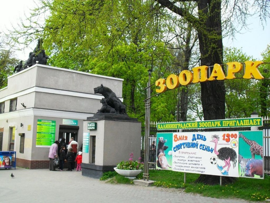 Калининградский зоопарк, Калининград