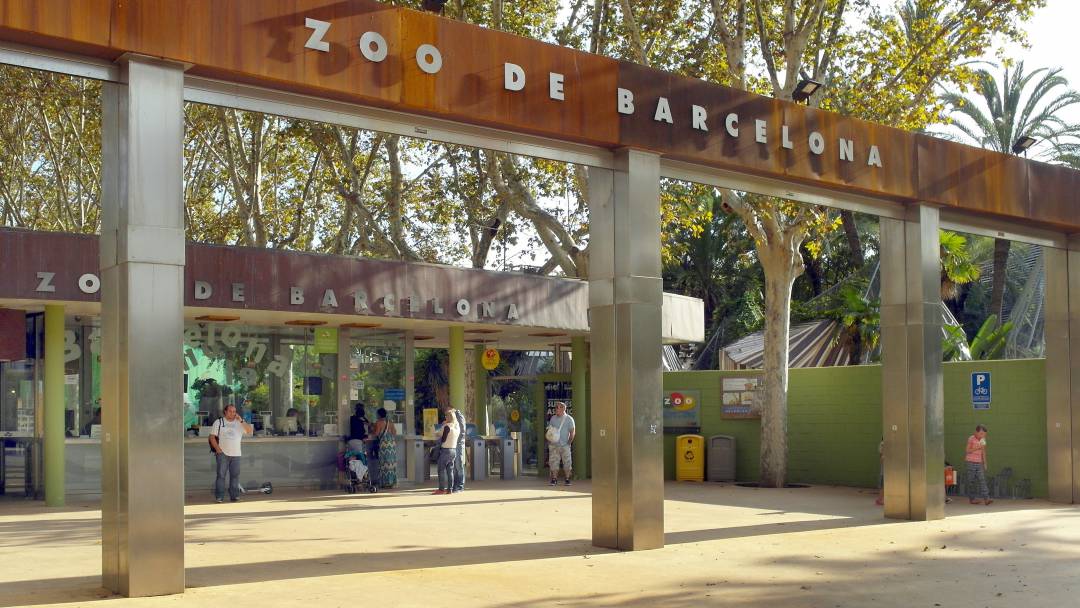 Зоопарк Барселоны, Барселона