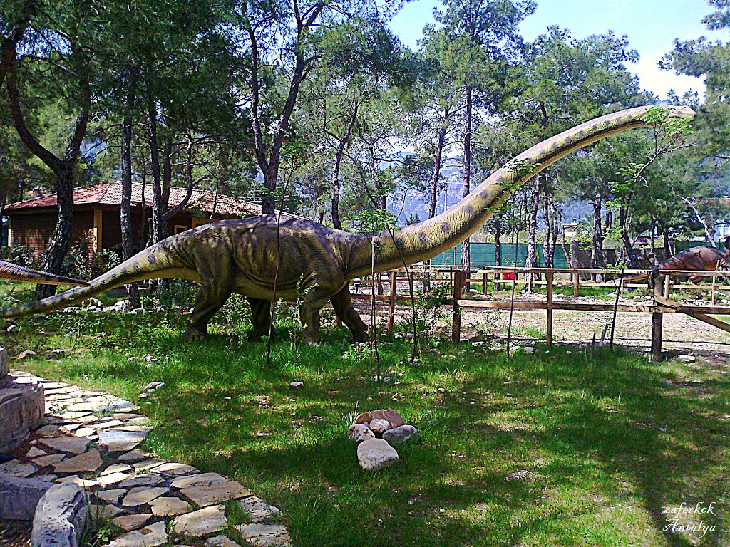 Парк динозавров в Кемере (Динопарк)