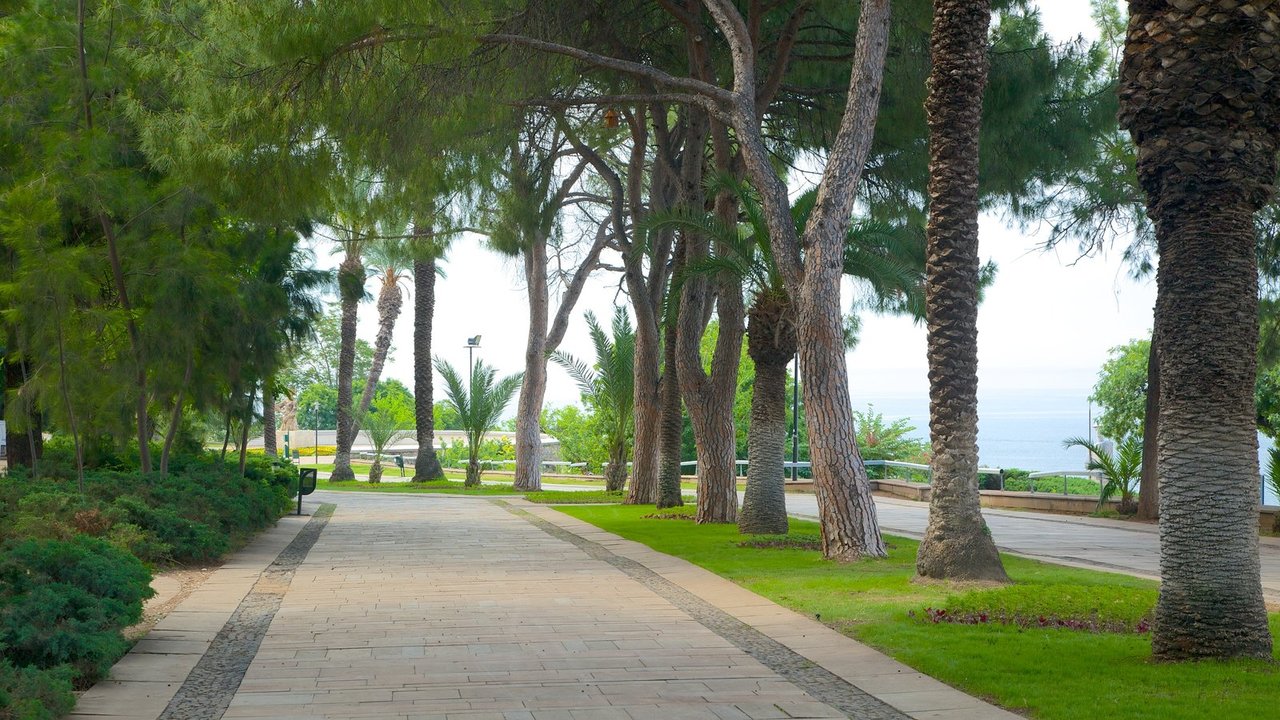 Парк Караалиоглу