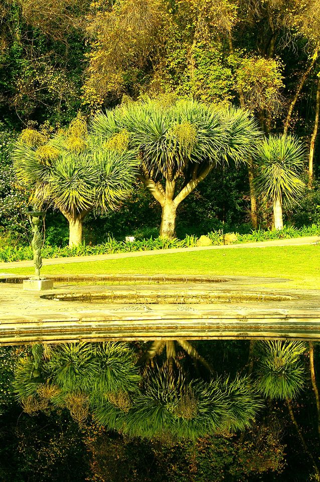 Историко-ботанический сад «Ла-Консепсьон»