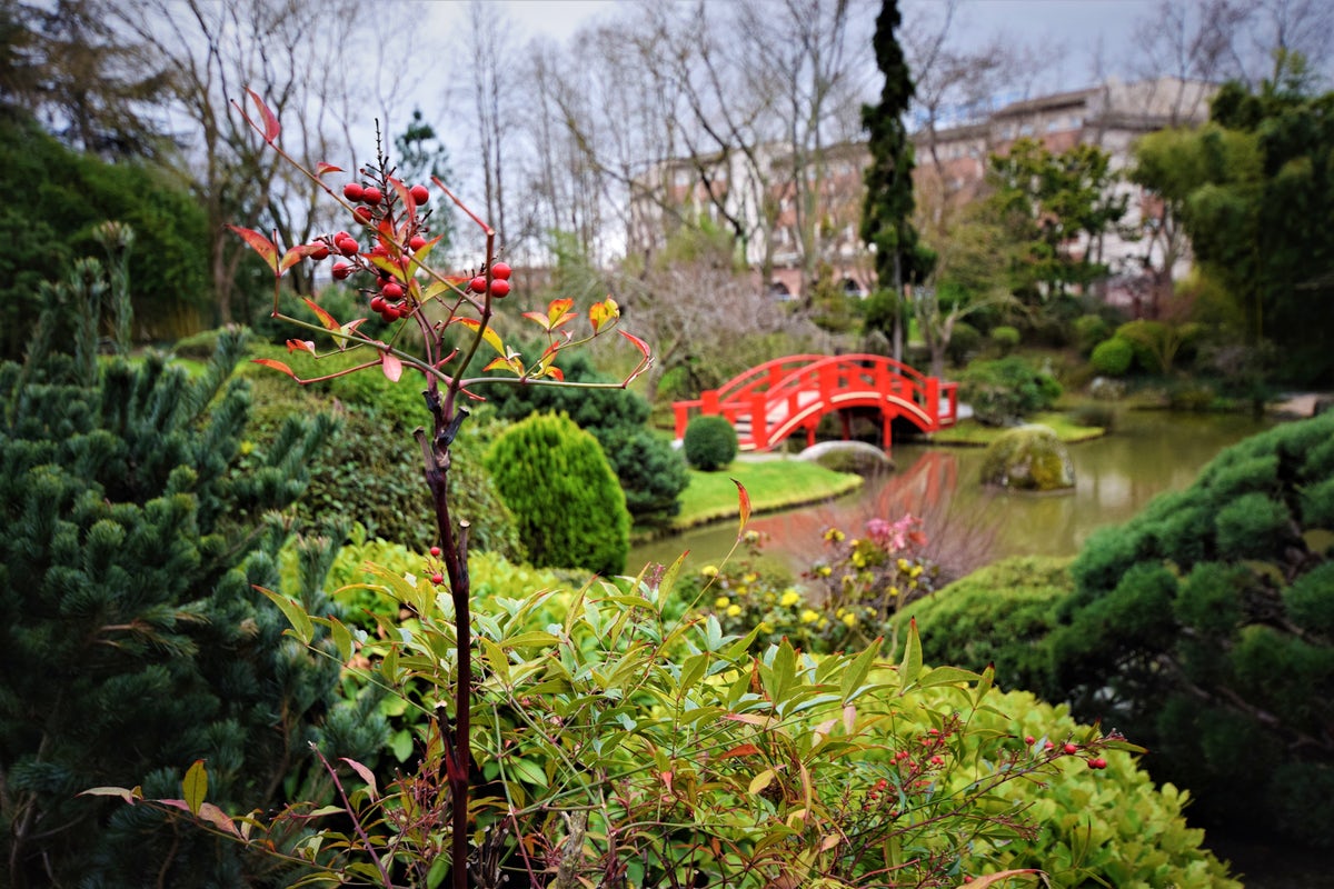 Сад Жапоне Пьер Боди (Японский сад)